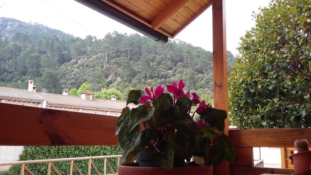 Cabanas De Madera El Rinconcillo 아로요프리오 외부 사진